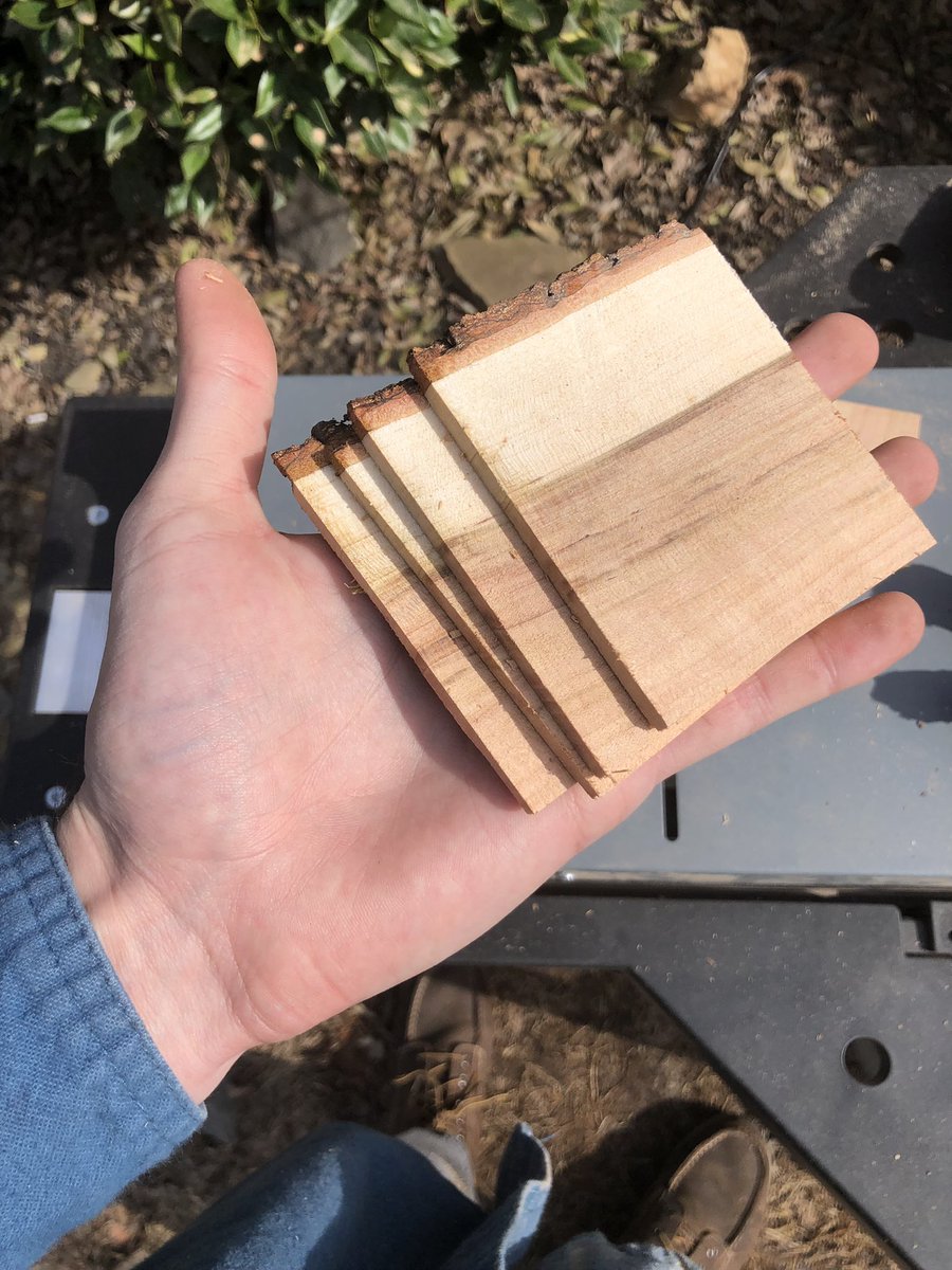 CodiakCreations's tweet photo. Making some Cherry wood coasters! These were actually harvested from a firewood pile. Time for sanding 🤩 they'll be available soon https://t.co/aCvaM5ORRy