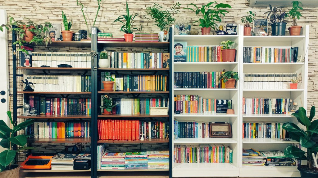 Blackeagle_72's tweet image. &quot;Tanrım bana çiçek dolu bir bahçe ve kitap dolu bir ev ver.&quot;(KONFÜÇYÜS)
Bahçem yok ama çiçeklerim  kitaplarımla sıkı dost oldu.