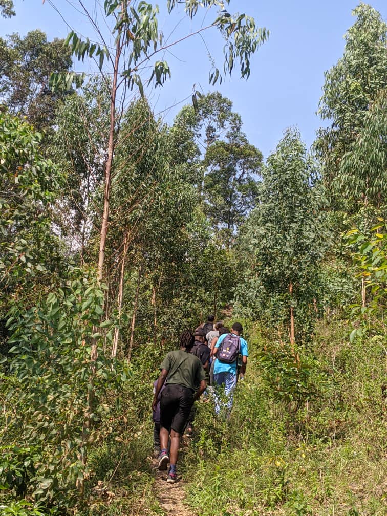 Do hiking as one part of your life so that you can experience more and experience is what #reallifesafaris aim for you. 

#hike #hiker #takeahike #hikes #girlswhohike #hikers  #hikelife   #morninghike   #hikevibes #dayhike #hikemore #naturehike  #hikerlife  #hikerslife #whyihike