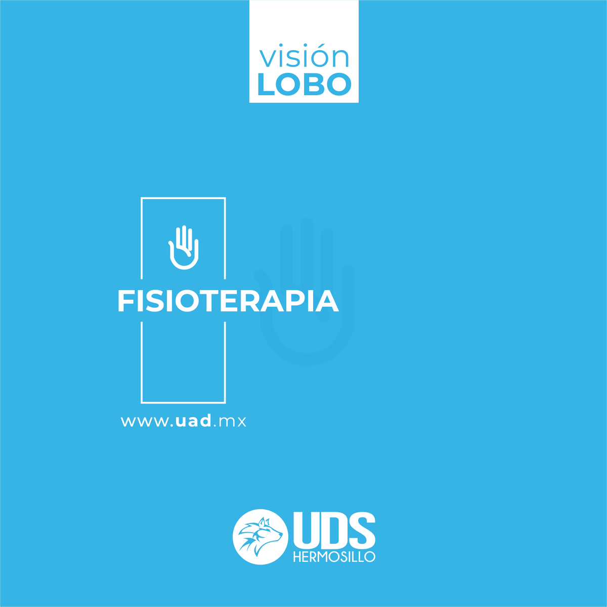 UDS_Hermosillo's tweet photo. Si estudias fisioterapia, puedes realizar múltiples especialidades como:

* Pediatría
* Geriatría
* Traumatología y Ortopedia
* Neurología
* Rehabilitación

¡Conoce nuestro plan de estudios! 

#SomosGrandes #SomosLobos #Fisioterapia #VisionLobo https://t.co/bttu0JPu6R