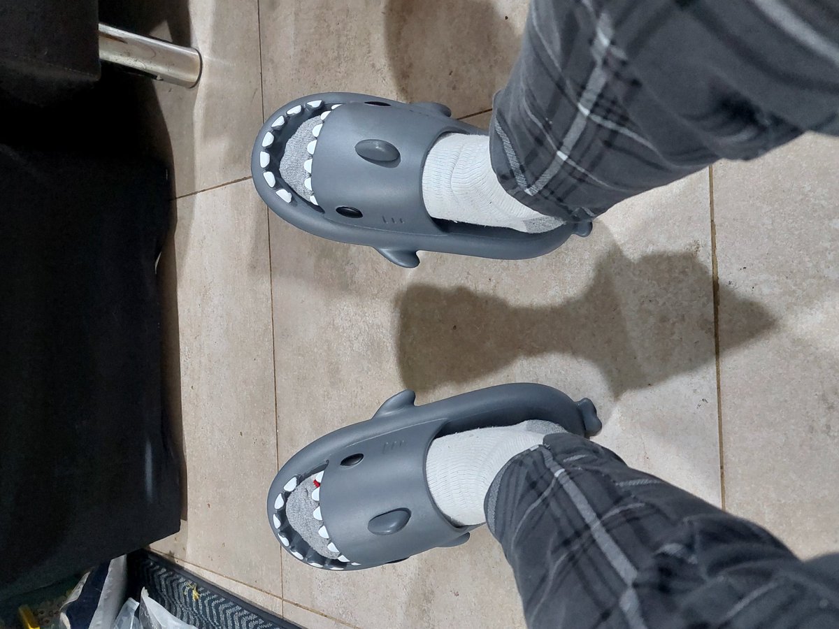 rtisbored's tweet image. callense la boca, tengo unas cholas de tiburón 😭😭