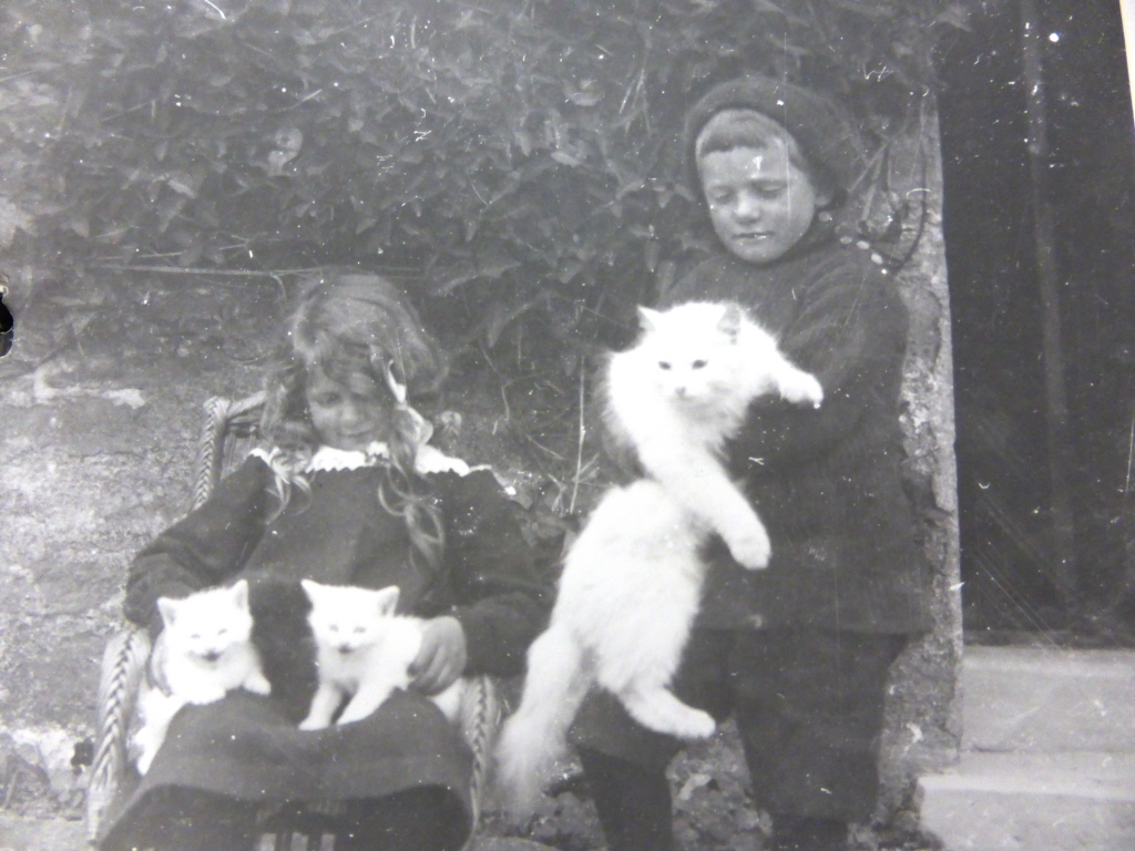 KnitHistForum: RT @LizLovick: Pic from #orkneyarchives taken about 1900.  Note stockings over the knees of both children..

#orkney #orkneylife #islandlife #kirkwall #countryside #wildlife #visitorkney #loveorkney #lovekirkwall #lovick #northernlace #kni…