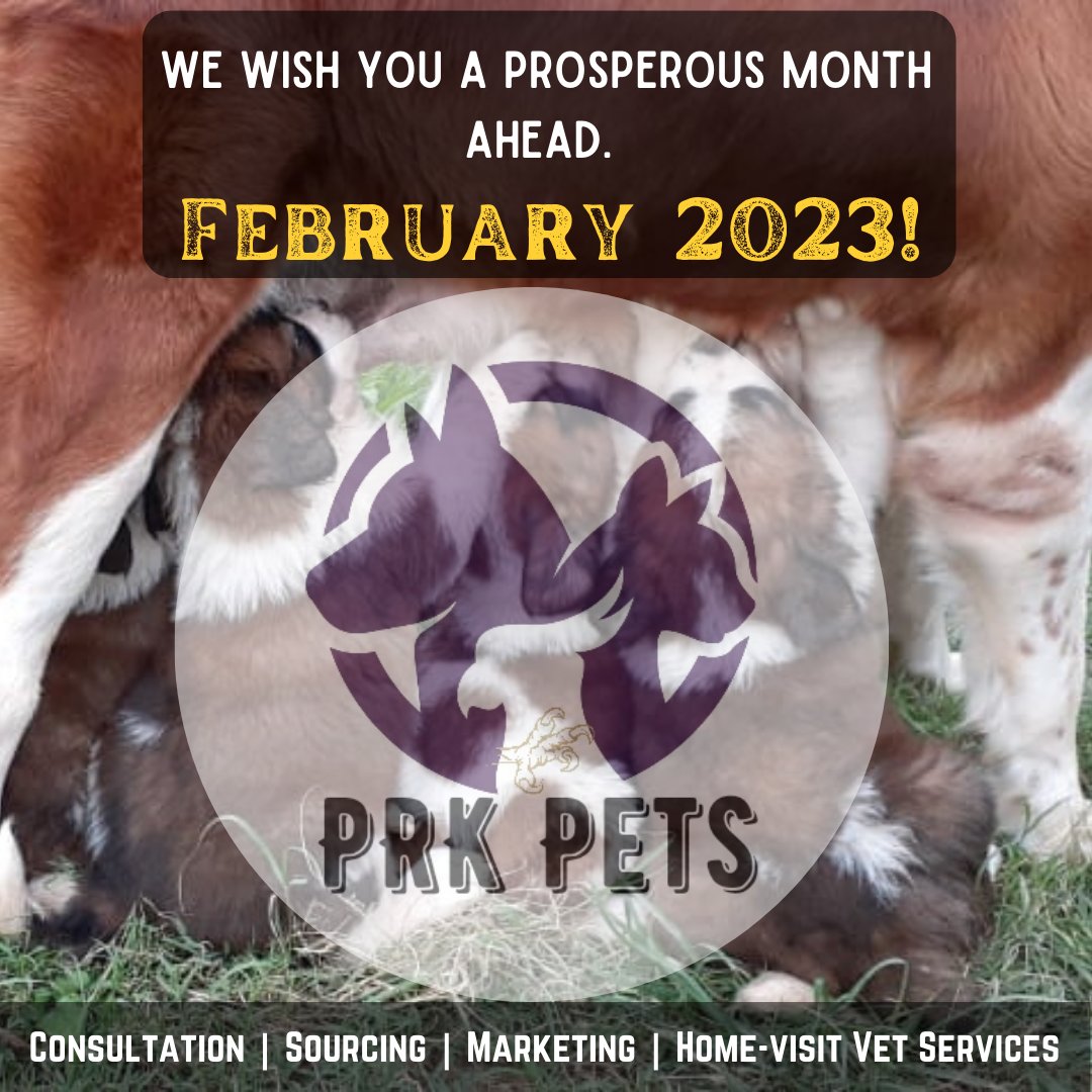 prkpets's tweet photo. Wishing you a Prosperous month of February 2023! https://t.co/rA0EHYJP97
