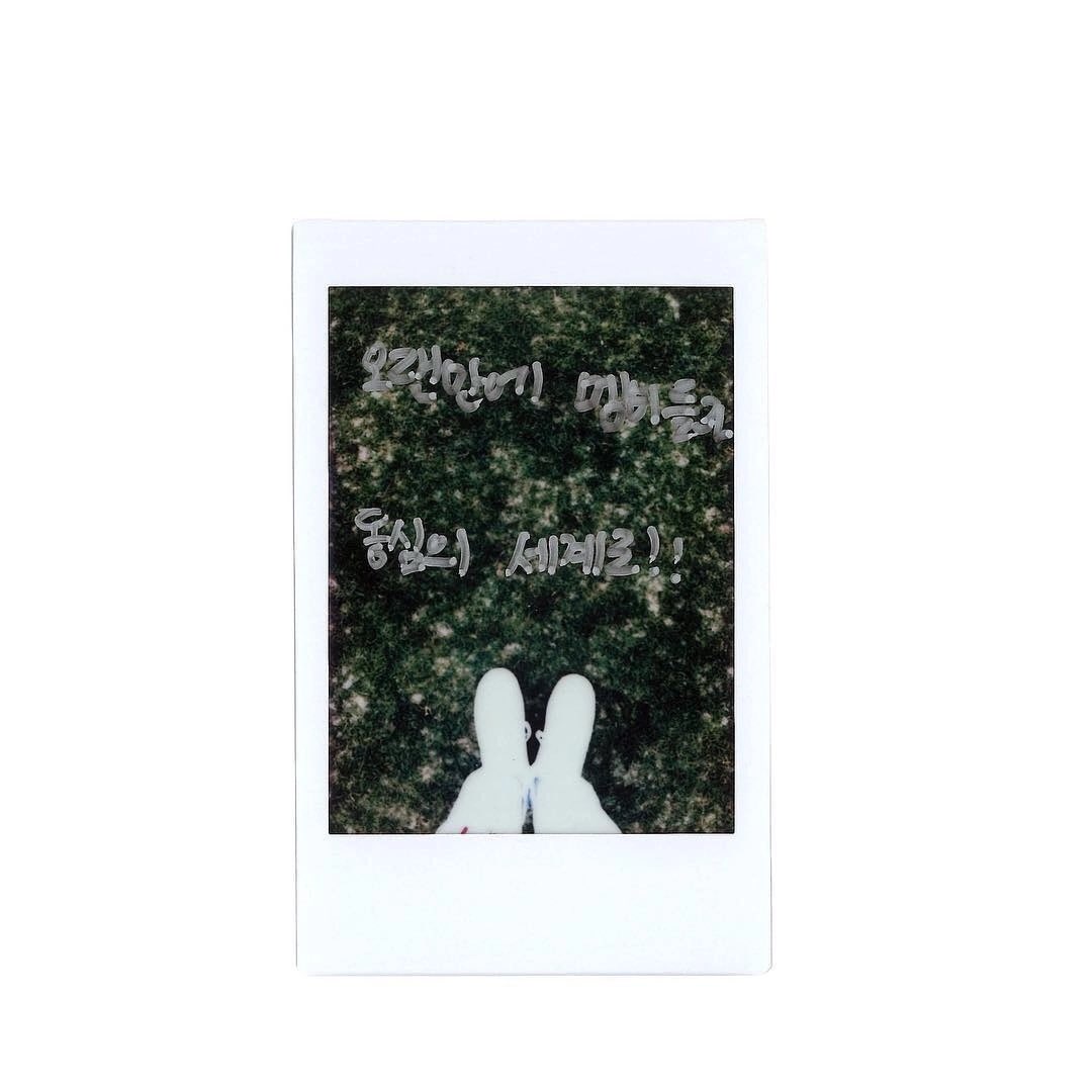 333__hour's tweet photo. ⠀
    𝚠𝚎l𝕔ome 𝑡o ◌₊ 𝕥he 𝕡ët ⋆ 𝓈ociety 
    𝐺h☻s𝚝 ᚺo𝕦r ∗ ta𝑘es 𝔘𝕊𝙰
    𝕥a𝚔e 𝛼 look #𝕘𝔥ø𝚜𝚝iǝ𝓈ʼāt𝙰𝙶𝙰𖥔 rec
⠀ https://t.co/t8OHIsH3sO