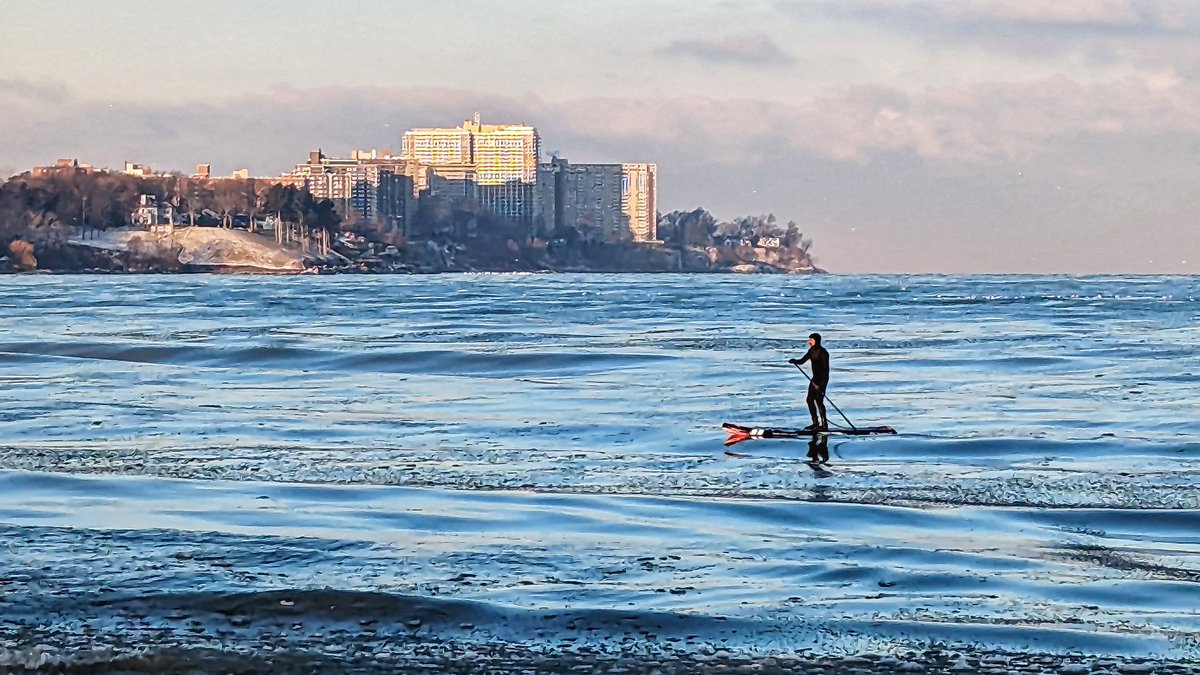 dlaufenberg's tweet image. It's a #weekendedition for #cowchat, @JenAnsbach! 1. Couple of gorgeous fall calves enjoying the warm temps 2. Brin and I spent the week in Cleveland 3. Crazy paddle boarder at 0° on Lake Erie. Hope your weekend gets a little warmer!
