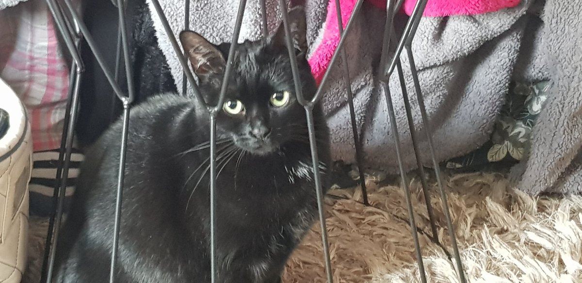 People who say <a href="/rickygervais/">Ricky Gervais</a> is just a comedian..and cant 
Act...watch this..gotta go there is something in my eye....
(Cats dont cry bout D.O.G)
LOVE MAGICK XX