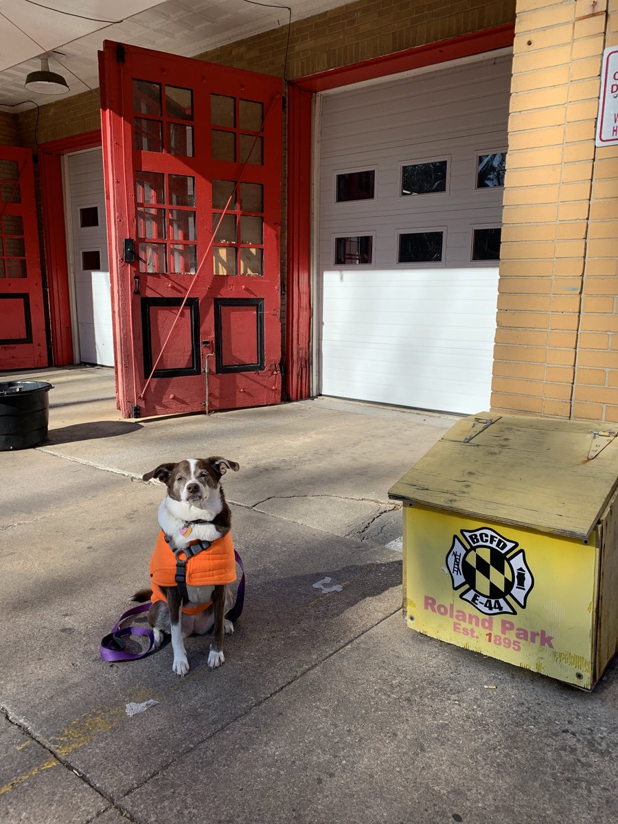 erick_ferris's tweet photo. Never too chilly for a @MilkBone from the #RolandPark Fire House! #Engine44 @BCFDL734 #DogWalking 🐾🚒🦴🥶 https://t.co/wTB7cLDC3U