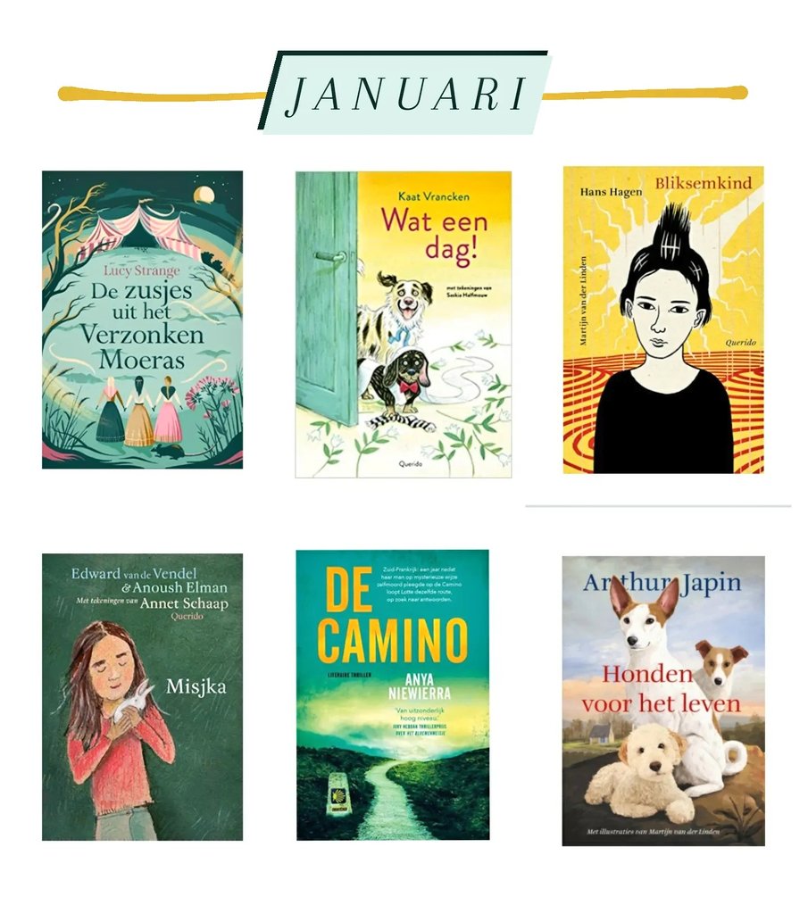 Gelezen in januari 📚 #boekperweek