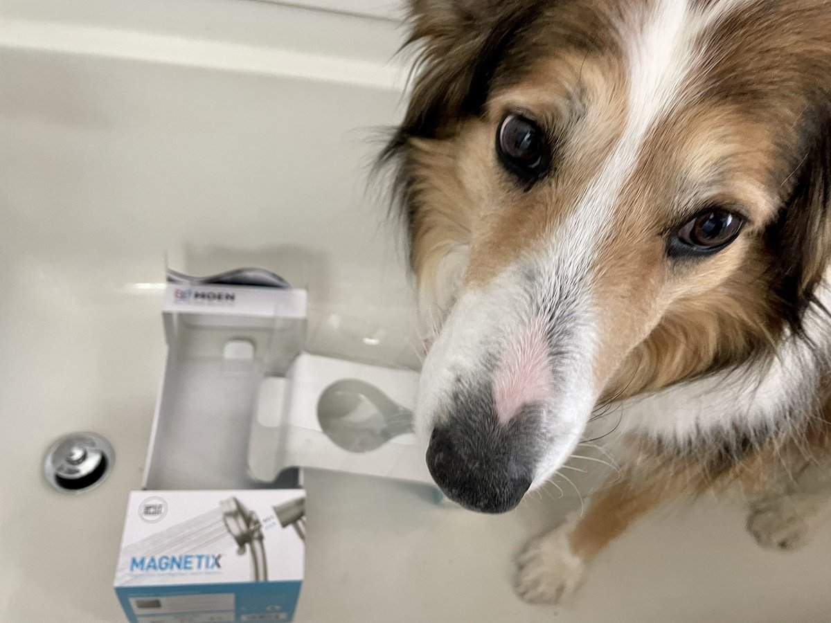 The Snoopervisor 2.0 /Moses (Wilma🌈) tweet media