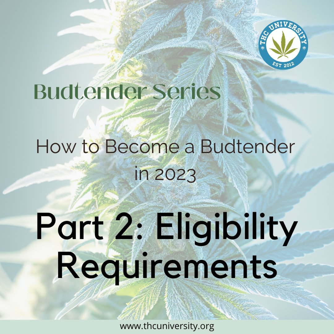 thc-university-on-twitter-revealed-the-best-tips-on-how-to-become-a