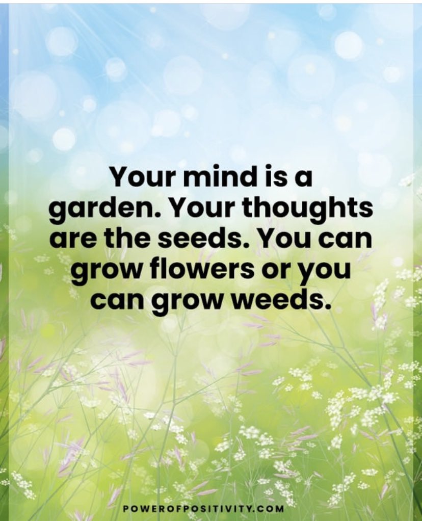 Carter High School Wellness Center (@wellness_chs) on Twitter photo 