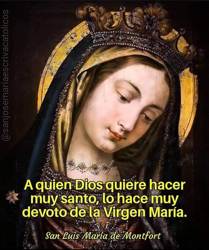 reina_padua's tweet photo. Protestantismo 👉María no es virgen
Ateismo 👉María no es virgen
Casualidad? No! https://t.co/IoWHUSfomT