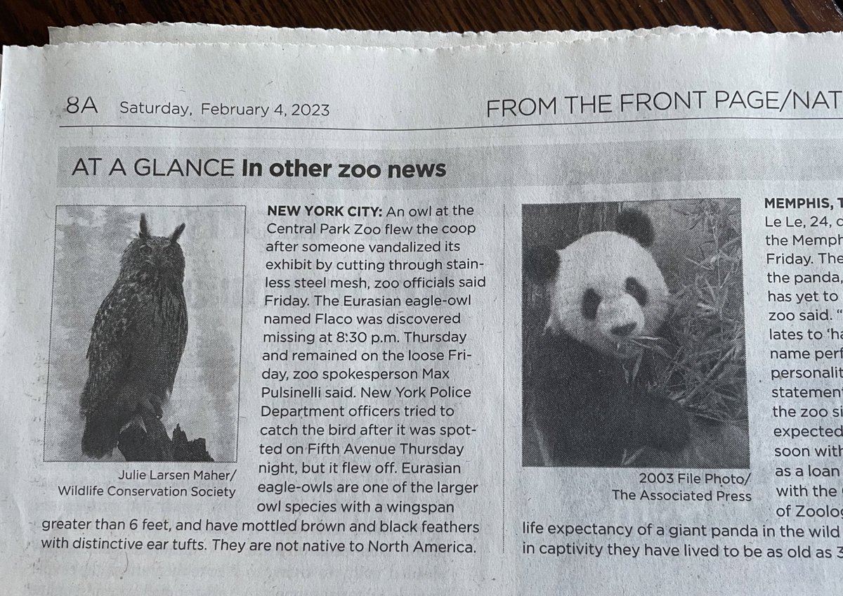Amber_Downing's tweet photo. After four days of no paper delivery, i realize this is the type of content I was really missing. #dallasnews  #inotherzoonews @dallasnews https://t.co/8qGHwfT6kq