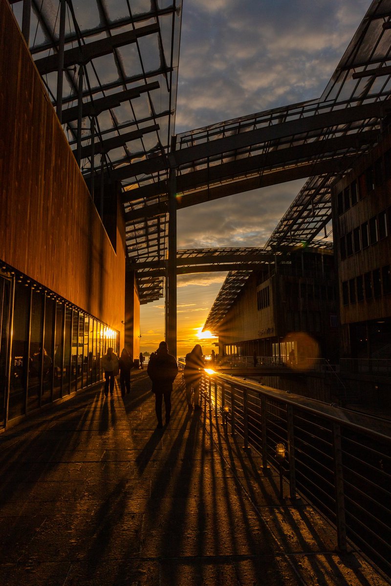 Golden hour ✨

#sunset #sunsetphotography #oslo #norway #photography #clouds #cloudsphotography #canonphotography #canonphoto #canonphotographers #canon6dmarkii #canonnordic #architecture #shadows