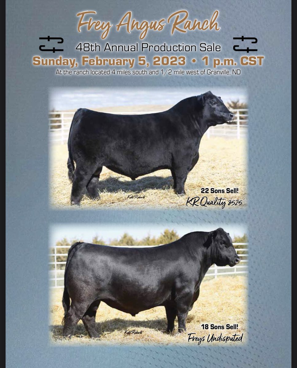BollumRanchProd's tweet photo. Tomorrow is sale day for Frey Angus Ranch! Join us in Granville, ND or let me know if I can be of assistance on sale day. 
.
Sale Info: https://t.co/udLfPKNMui
.
.
#westernagreporter #westernagwill #angus #angusbulls #angusheifers #freyangusranch #iamangus https://t.co/GIoea2wIiJ