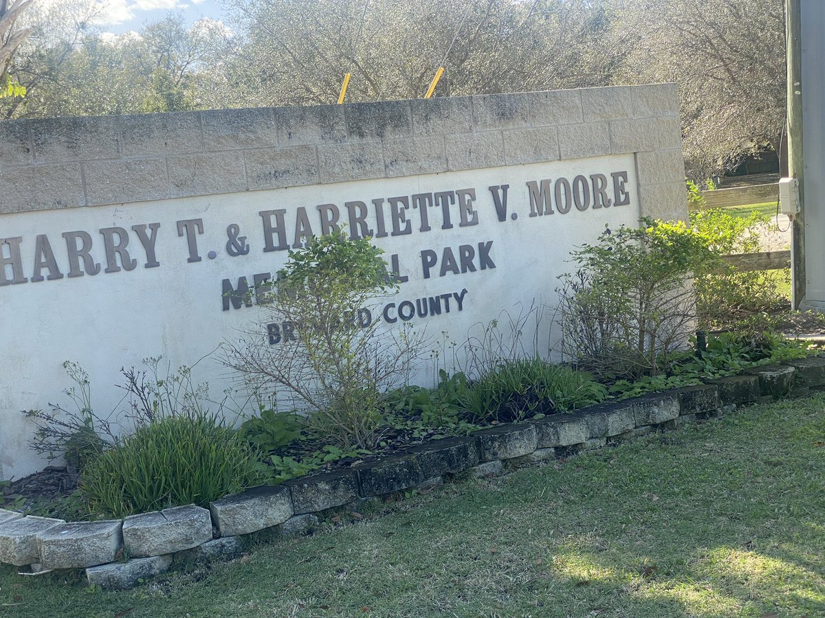 rolandsmartin's tweet image. Please Google freedom fighters and Florida NAACP leaders Harry T. And Harriette Moore of Florida. Stopped by their memorial park in Sims,
Fla. I’m driving to Miami from Daytona Beach and I Had to pay my respects. instagram.com/reel/CoQLbbiI-…