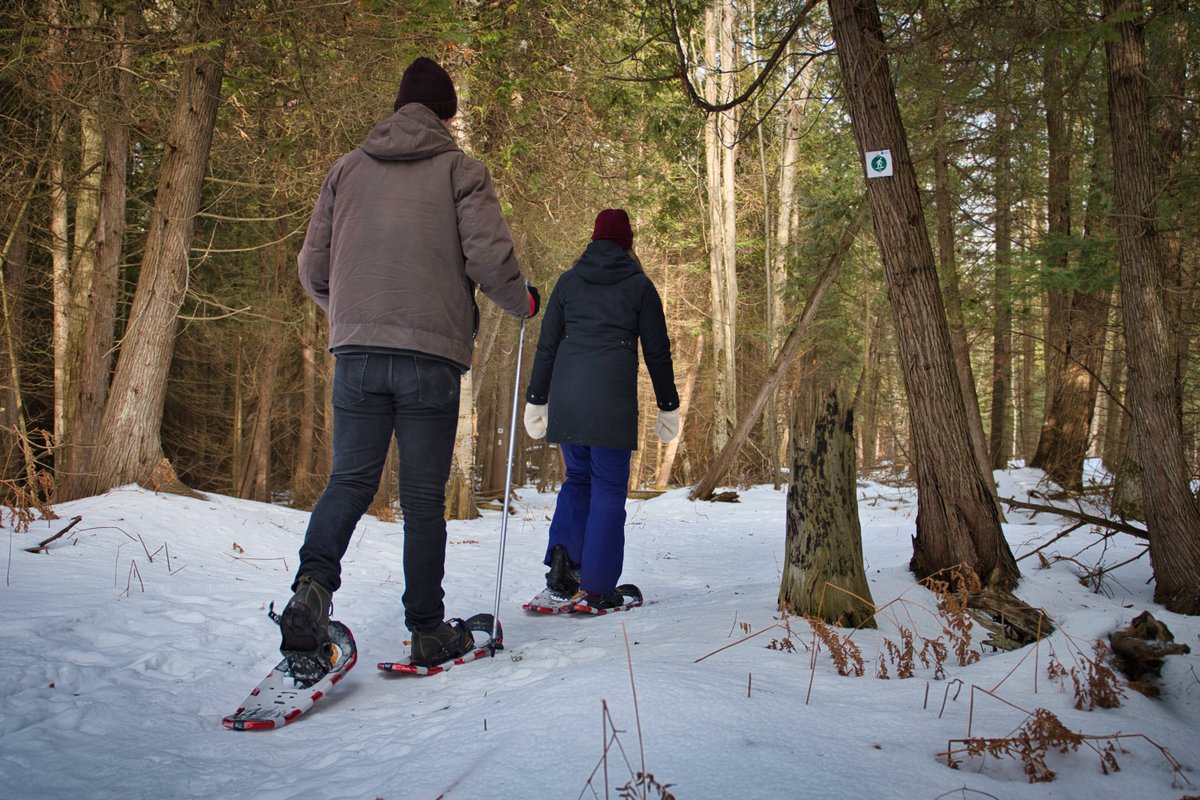 Pretty River Valley Provincial Park tweet media