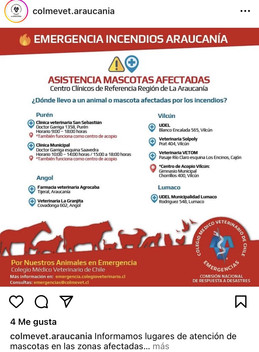 oltre_nuvole's tweet photo. #Araucania #IncendiosForestales #mascotas https://t.co/hO1OSKSLaz