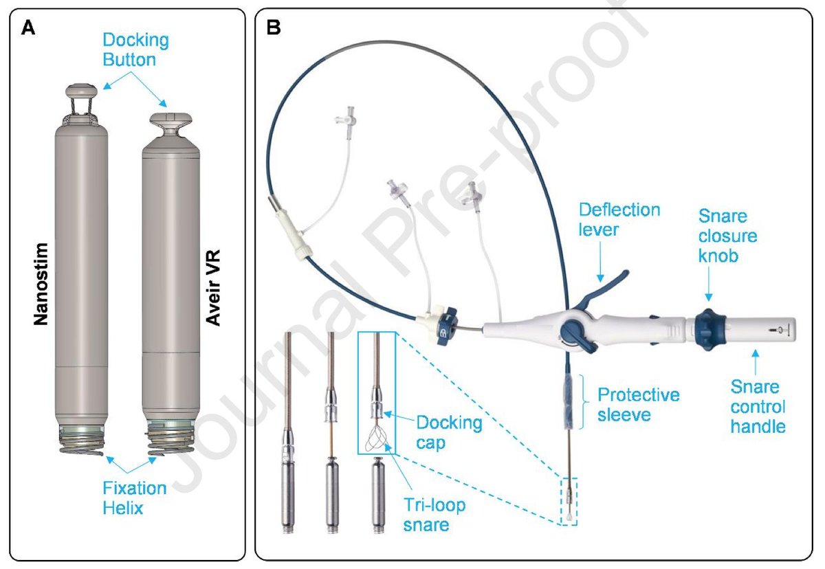 Heart Rhythm Case Reports tweet media
