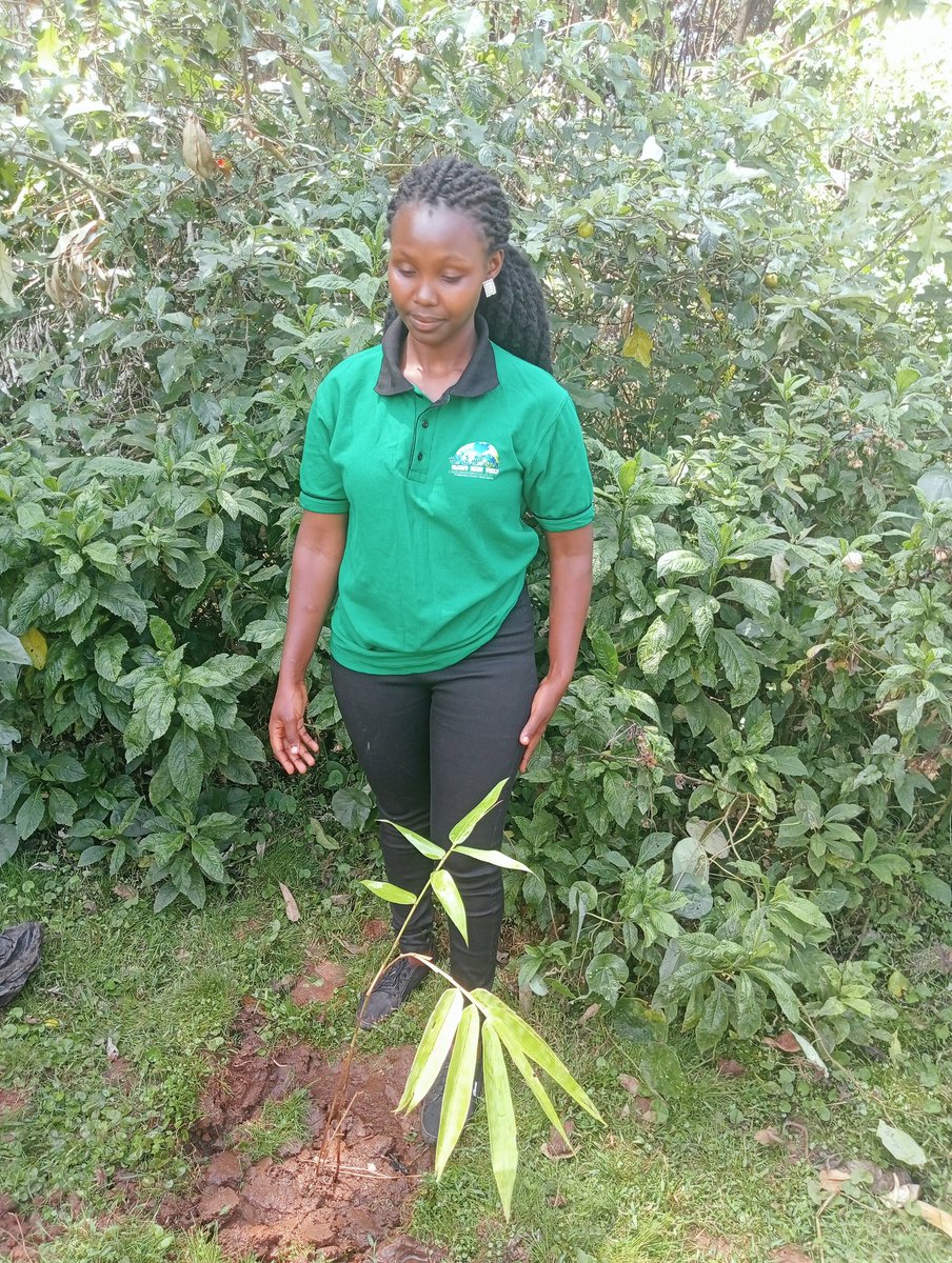 SenatorCheptoo🇰🇪 tweet media