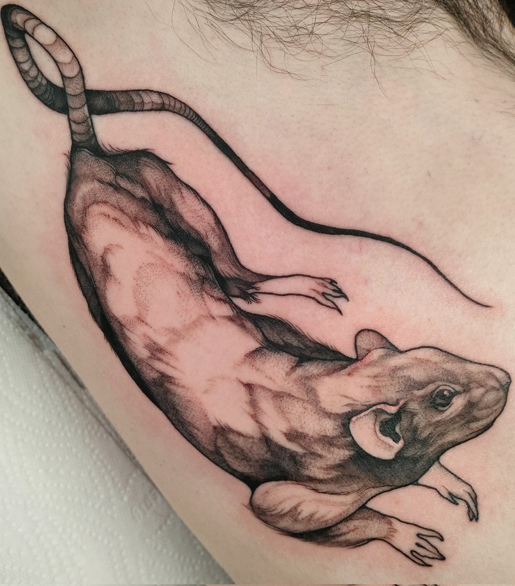 Newest ink. So happy with how this turned out 😁
#rat #petrat #rattattoo #newink #inked #tatted #animaltattoo