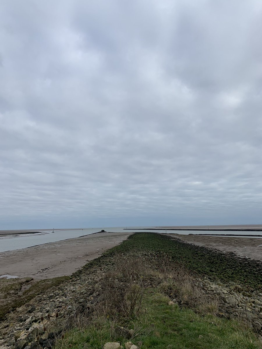 🥾 I ventured from @RSPBFrampton up to the mouth of the rivers Welland and Witham at Tabbs Head today! 

Golden Plover doing their little dancey dance out in The Wash! Skeins of Pink Footed Geese coming across from #RSPBSnettisham, looked great against the stratocumulus clouds!