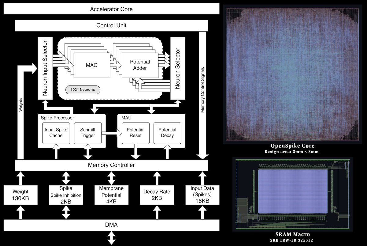 My first ever paper was accepted to ISCAS 2023. It's a fully opensource neuromorphic chip.
Download the paper:
arxiv.org/abs/2302.01015
Checkout the repository:
github.com/sfmth/OpenSpike

Special thanks to @mguthaus and <a href="/jasoneshraghian/">Jason Eshraghian</a>, co-authors of this work.