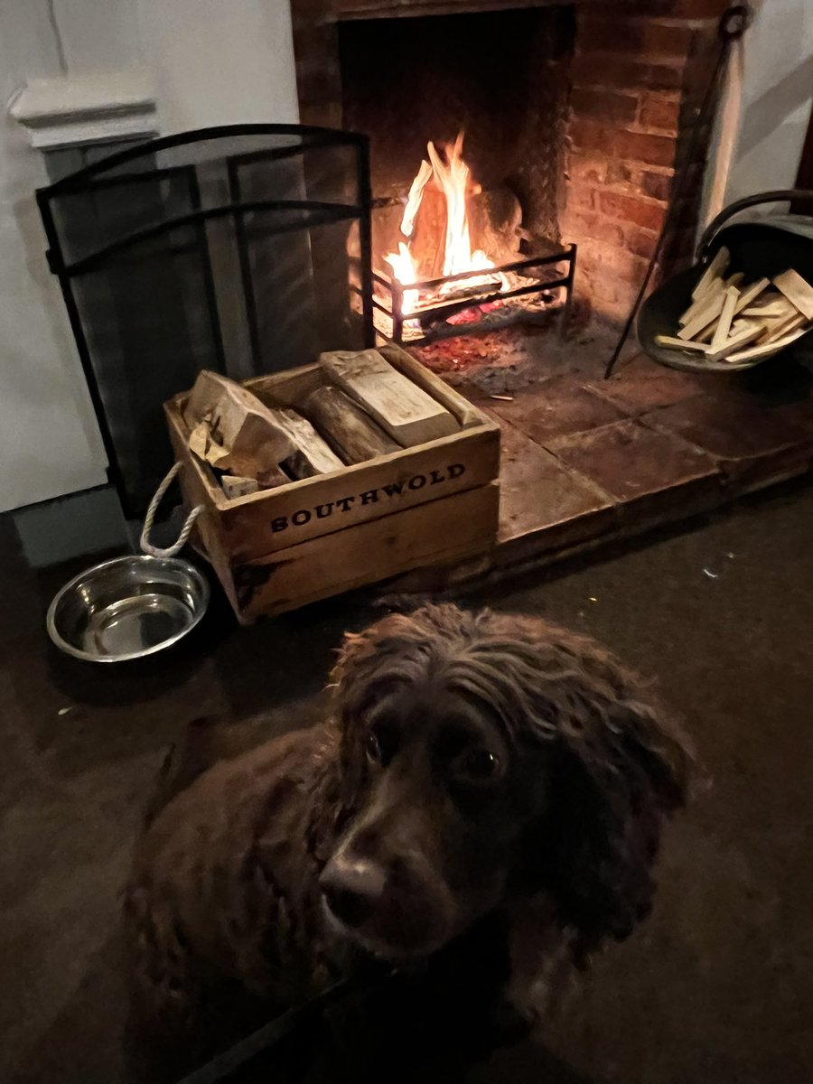 Tarka McSpaniel (@tarkamcspaniel) on Twitter photo This’ll do. This’ll do.