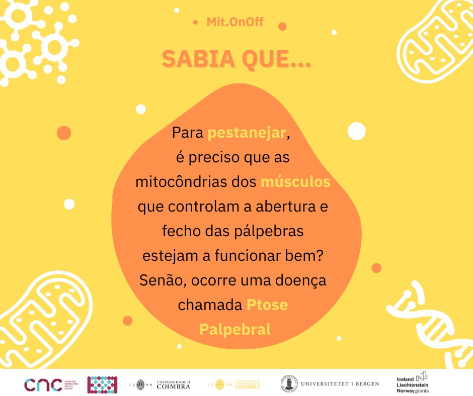 Lab of Mitochondrial Biomedicine & Theranostics tweet media