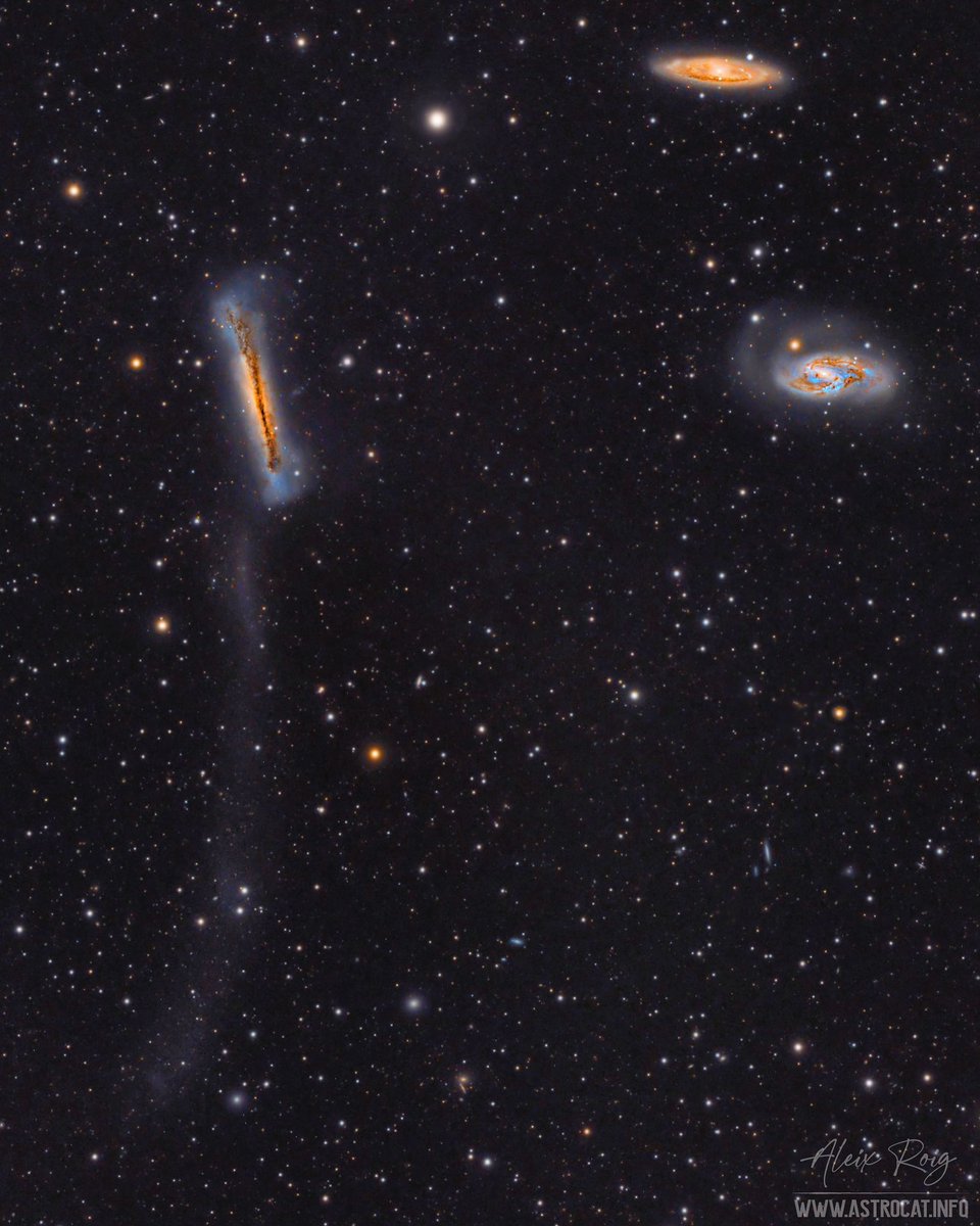 Leo Triplet with tidal tail ✨