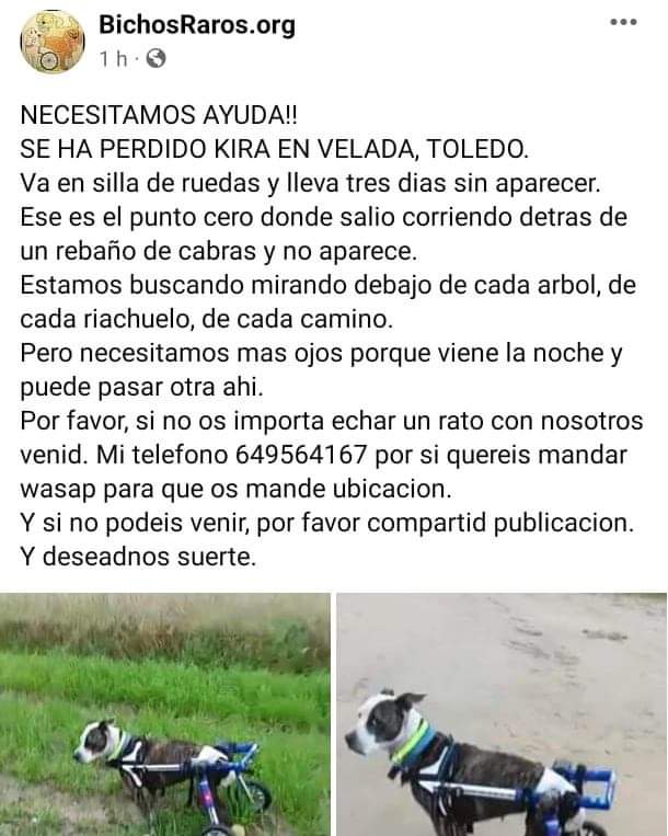 silvia mensegar (@silviamylo) on Twitter photo 