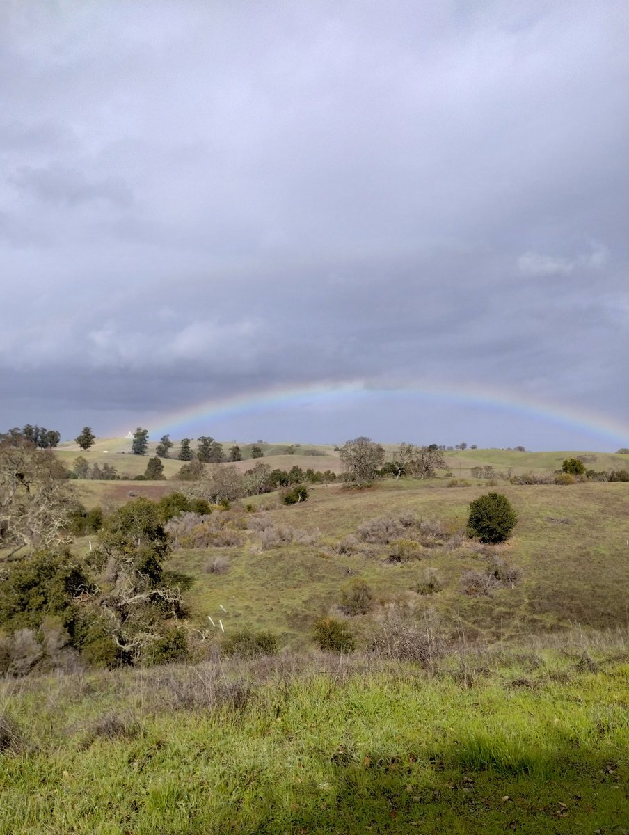 AmandaYTWu's tweet photo. Friends in the Bay Area, look up to the sky RIGHT NOW! https://t.co/JK1KLOGdKo