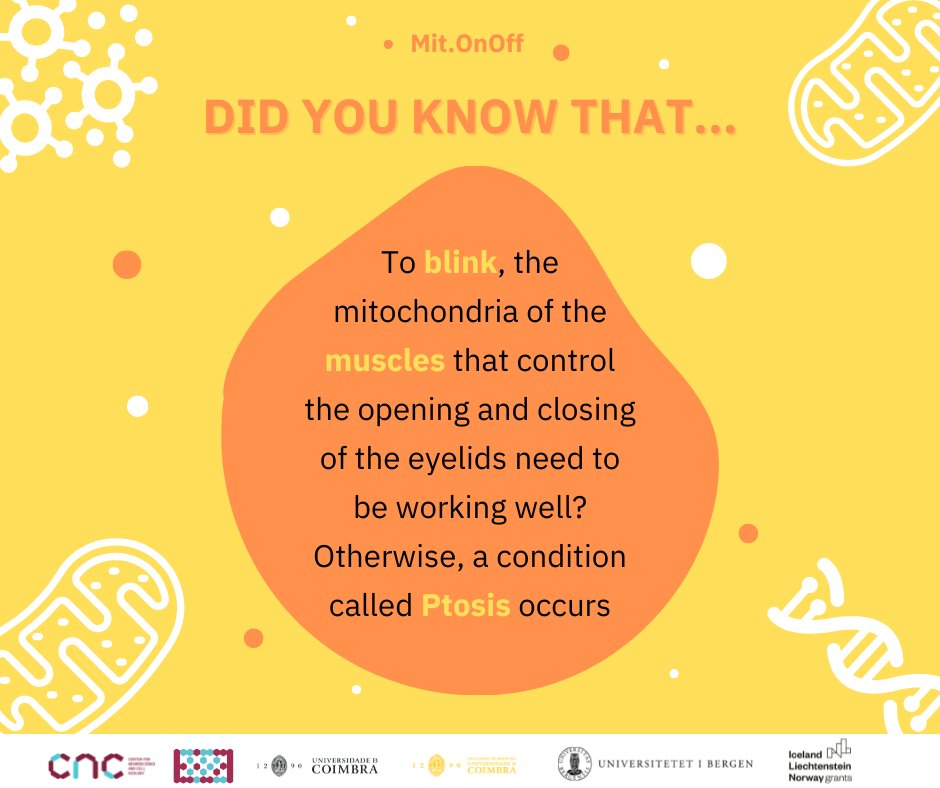 Lab of Mitochondrial Biomedicine & Theranostics tweet media