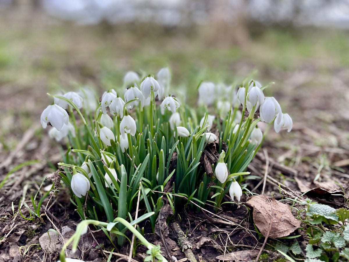 Eleanor Durdy tweet media