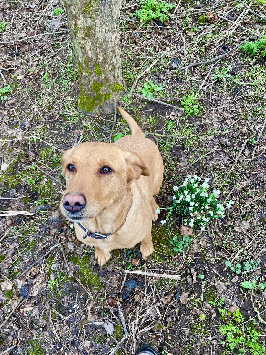 Eleanor Durdy tweet media