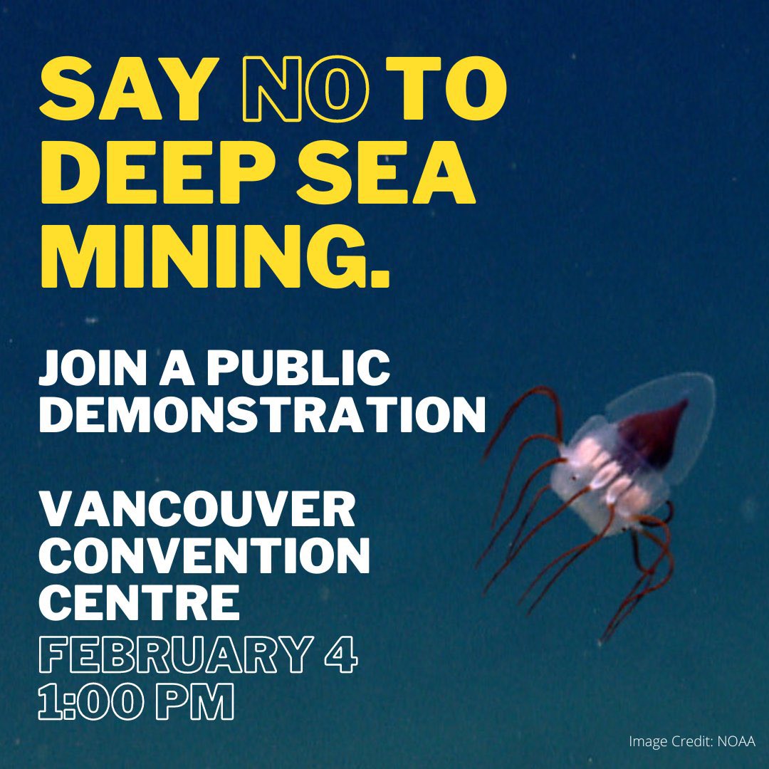 Deep-sea mining is like clearcutting the ocean 🌊@JustinTrudeau @JoyceMurray @JonathanWNV @melaniejoly, we’re calling on 🇨🇦to take say NO to #DeepSeaMining.