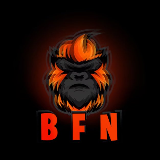 TeamBFN's tweet photo. Nouveau logo officiel de la #TeamBFN https://t.co/flhPIuiv4p