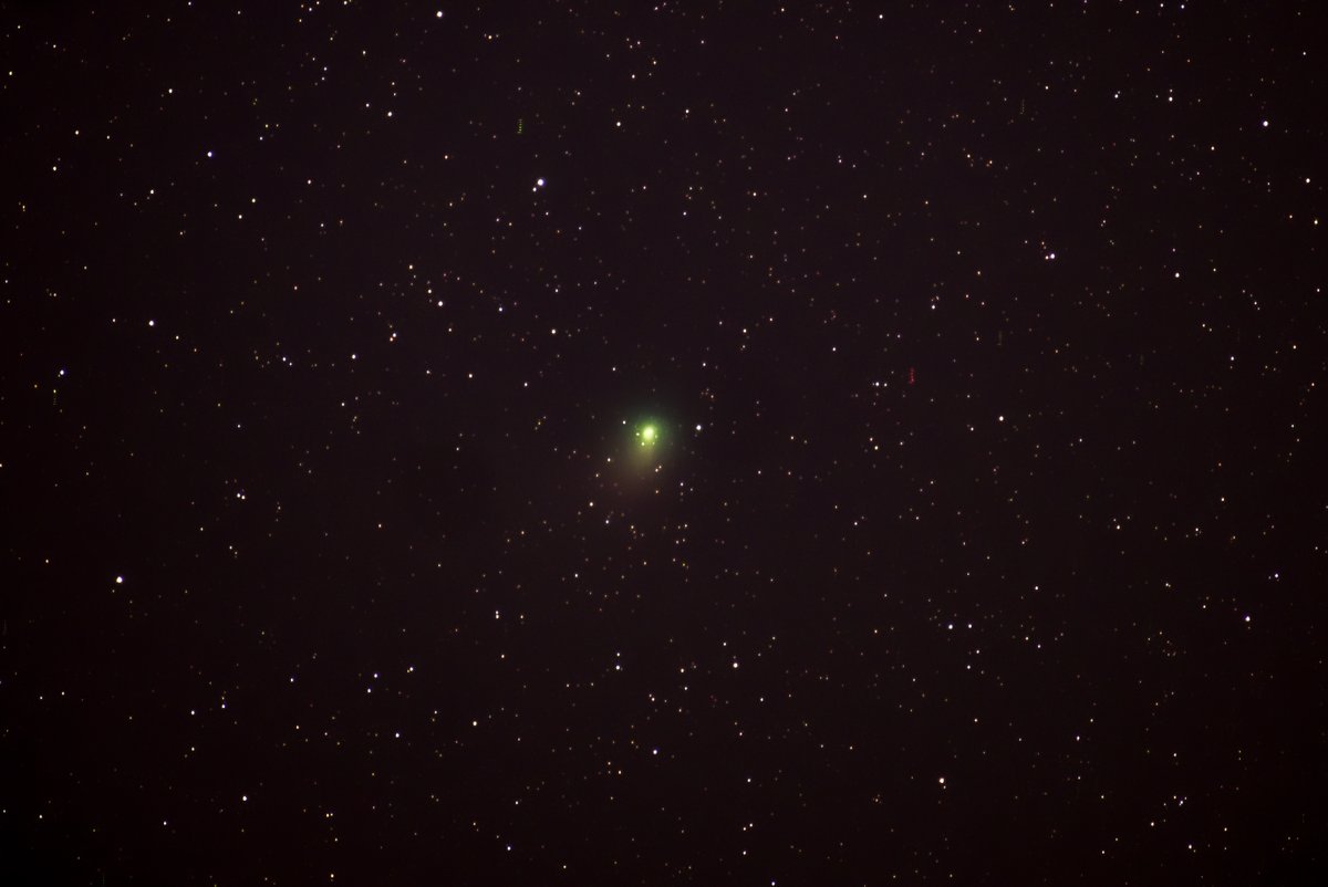 Alistair Hamill tweet media