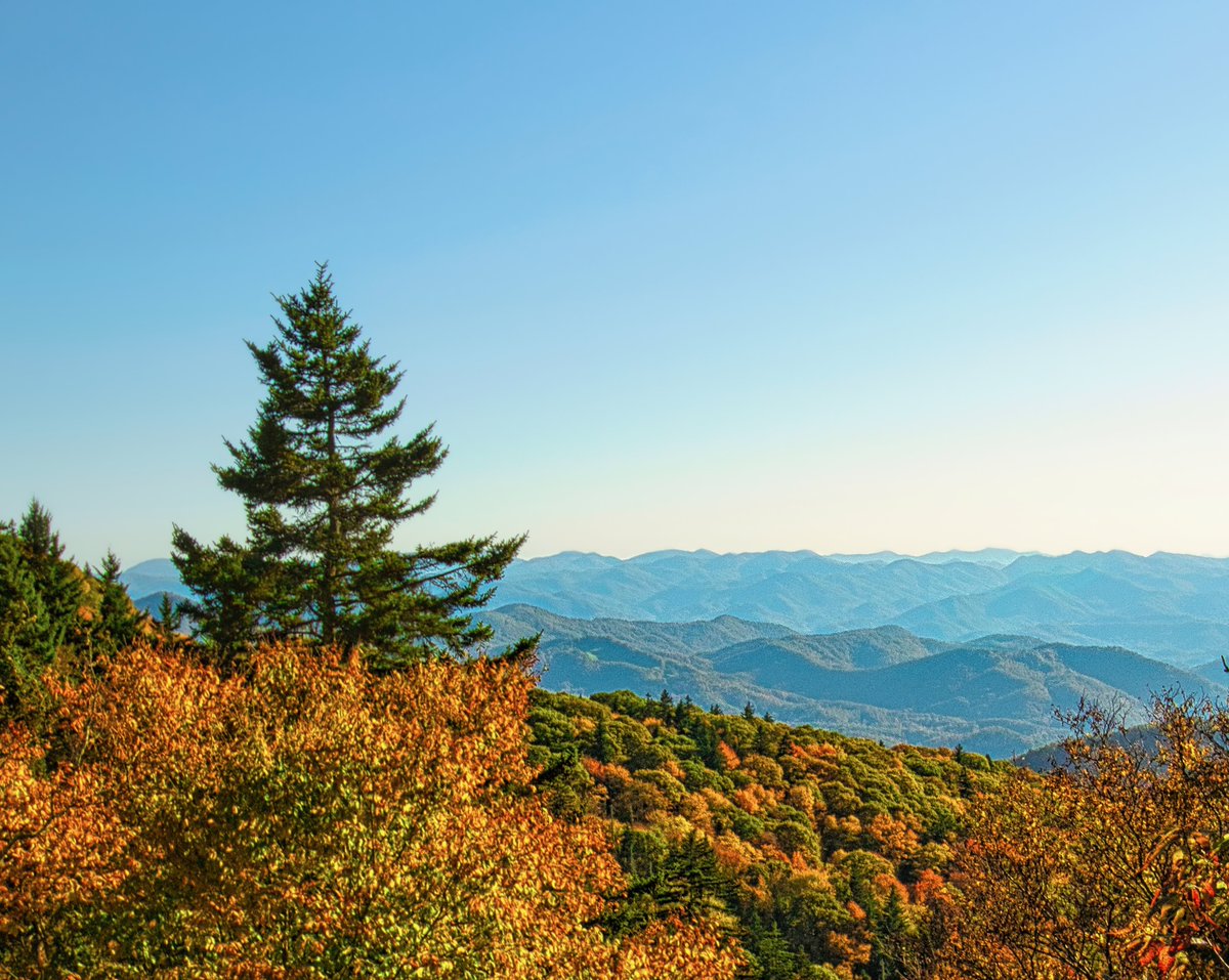 Autumn on the Blue Ridge Parkway
©️ 2023 Jared Hester
#NorthCarolina #blueridgeparkway #appalachianmountains #landscapephotography #nature #NaturePhotography #mountains #Autumn #fallcolors #blueridgemountains