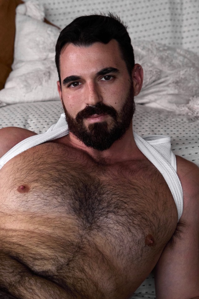 Hairy Bear On Twitter Hairychest Gaybear 