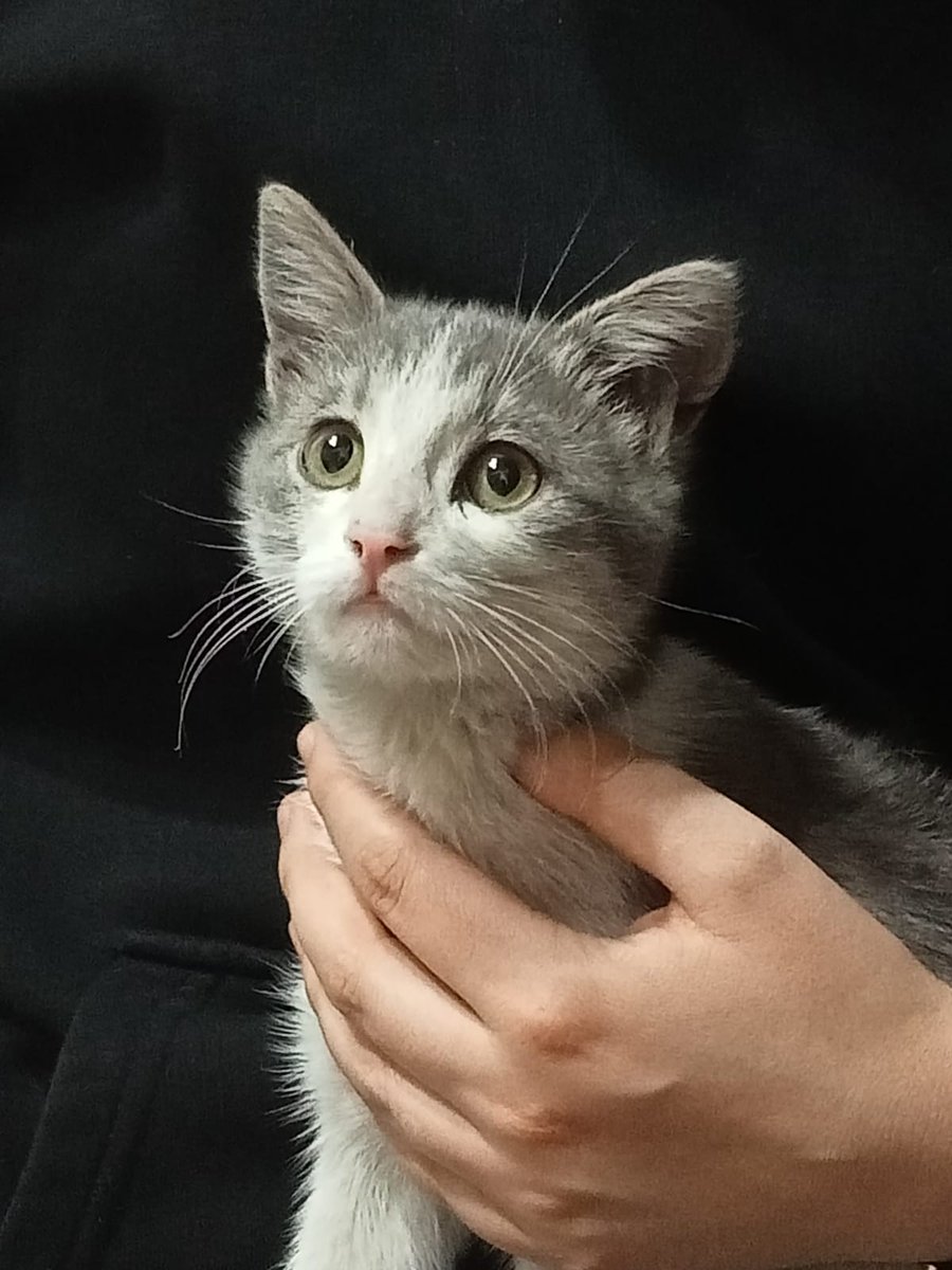 Sen çok tatlısın 💙