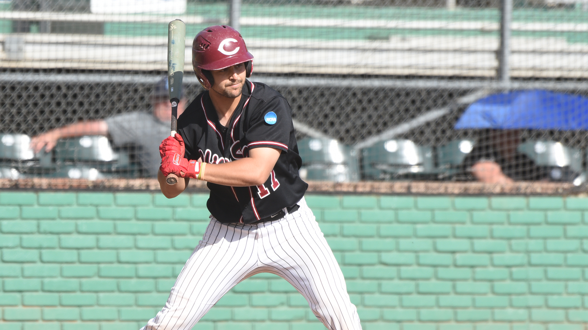 Chico Wildcats on Twitter "The Chico State baseball team spots Flagler