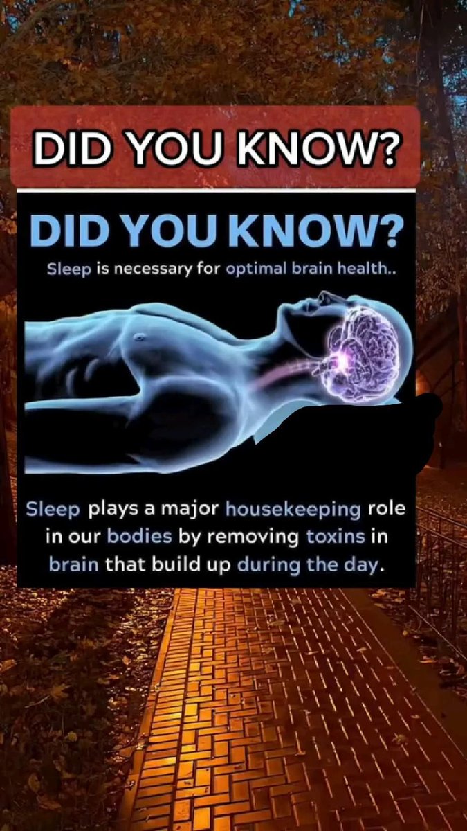 unityphysio1's tweet photo. Did you Know How sleep necessarily muscles power and Fitness 💪 #healthActivity #fitness #health #gym #workout #physio #unityphysio #football #running #bodybuilding #care #fit #mornigworkout #doctores #homeworkout #therapy #doit #fitnessmodel #modelsearch #stretching #massage https://t.co/QAD6V844aU