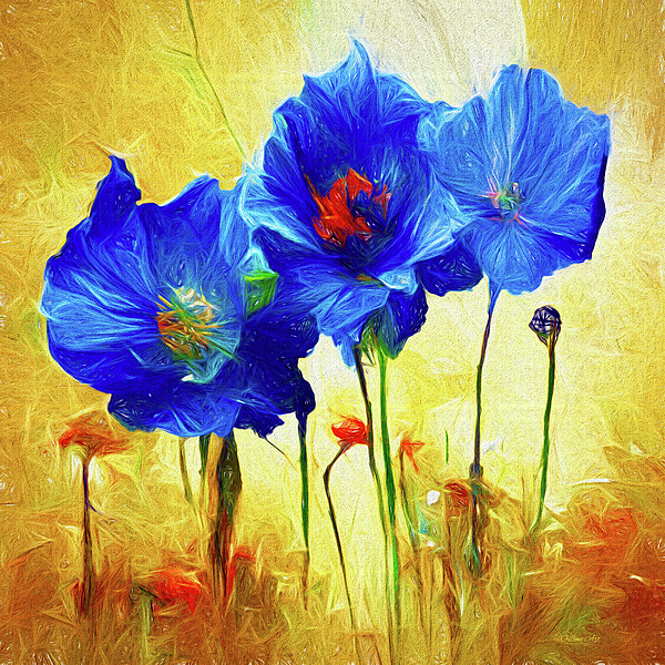 New artwork for sale! - "Himalayan Blue Poppy I " - fineartamerica.com/featured/himal… @fineartamerica