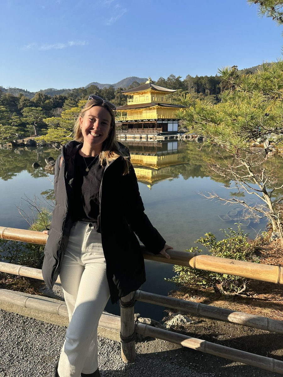 maybe: anna tweet media