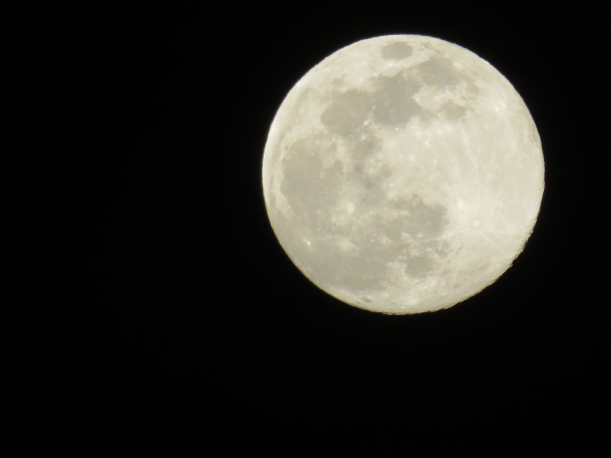 coachpam2's tweet photo. The moon officially turns full tomorrow at 1:29pm (afternoon), but tonight the moon looks beautiful🌙! The last picture may or may not be the green comet C/2022 E3 (ZTF)💫! #moonmagic #moonlight #februarymoon #greencomet #nightsky https://t.co/FTZj7av7d2