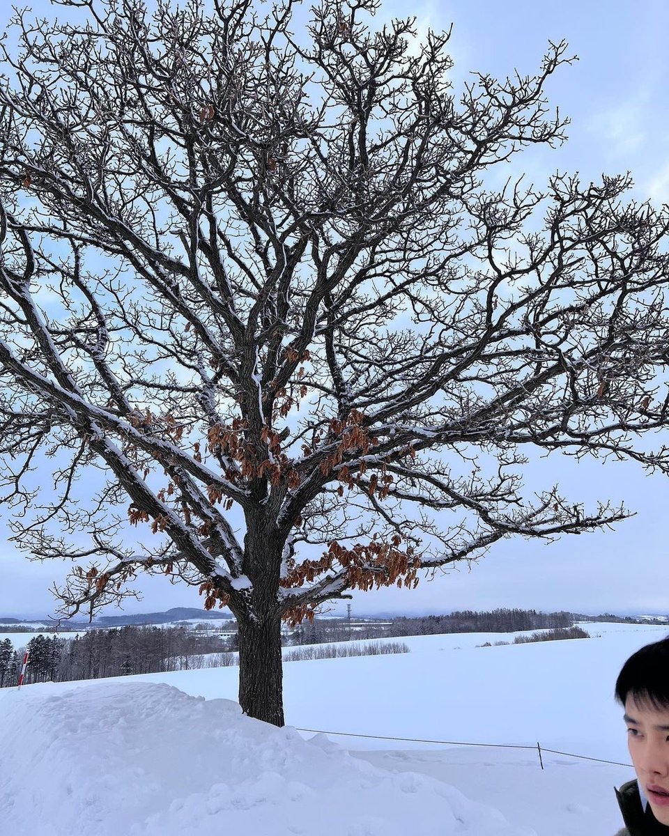 knockknock0408's tweet photo. D.O. - nomath_schooltrip ins
@weareoneEXO https://t.co/UbLUM8157v