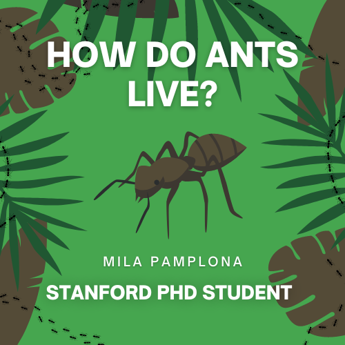 SimplePod's tweet photo. 🌿Episode 23🐜 titled "How Do Ants Live?", has Stanford PhD student, Mila Pamplona, take you on a journey into the fascinating world of ants.
https://t.co/6DMYvsQJde
#ants #antscanada #antspodcast #antslife #myrmecology #myrmecologist https://t.co/IyebQZcov6