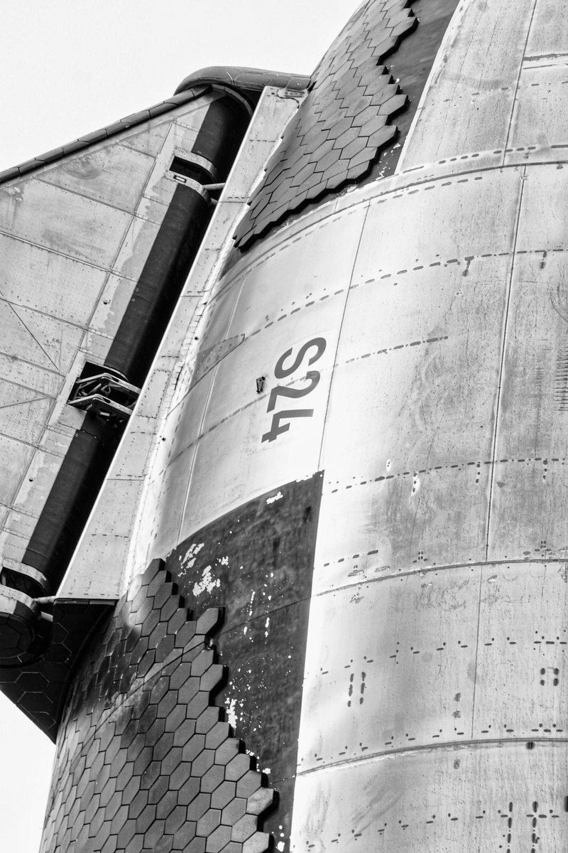 An interstellar steed, destined for celestial journeys.