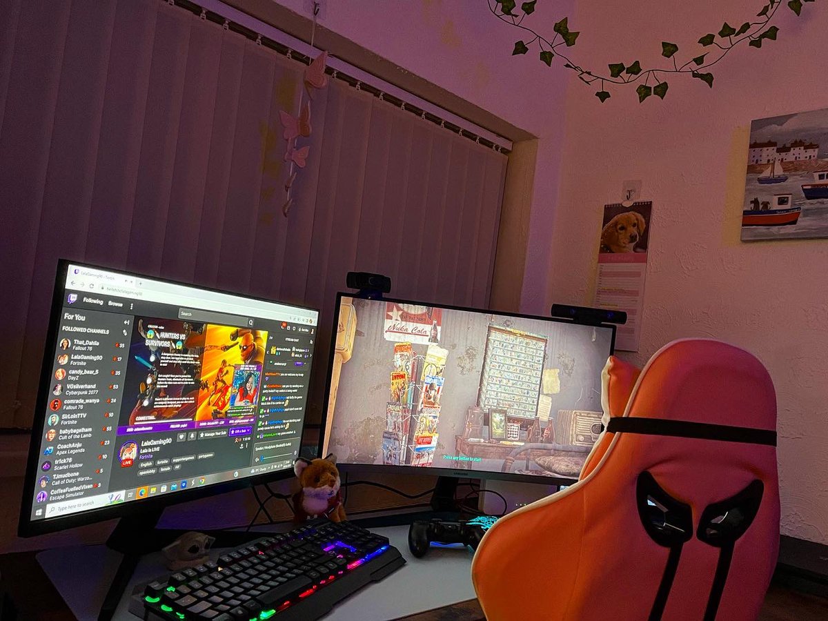 ViixenGaming's tweet photo. New stream room🥰 https://t.co/IeKCX0mNZ6